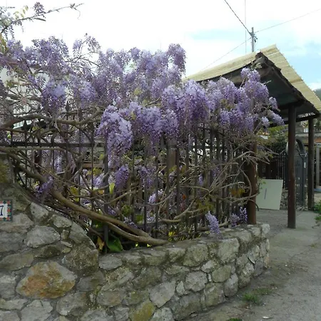 Li Galli
